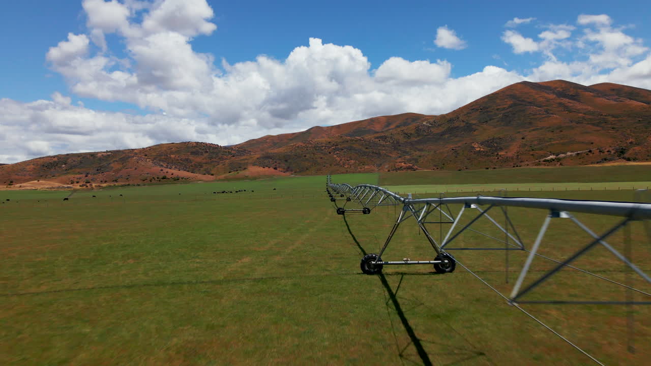 Sheep grazing grass on the field with long metal industrial irrigation machinery in Otago region of New Zealand