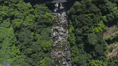 Flying-over-Jungles-of-Yakushima,-Japan
