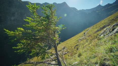 A-cyclist-rides-through-a-high-alpine-valley-in-autumn