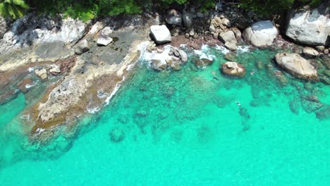 Drone-video-of-4-people-snorkelling-near-huge-granite-stones,-white-sandy-beach,-turquoise-transparent-Indian-ocean-water,-Mahe,-Seychelles-30fps-4