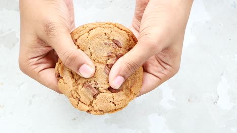 rompiendo una galleta de chocolate