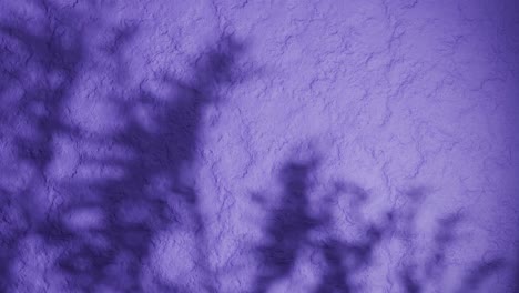 shadow of plant branches on textured purple plaster wall. minimal nature-inspired background with soft natural light and rough stucco surface. design for wallpaper, banner, vertical