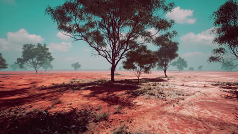 paisaje del interior de australia