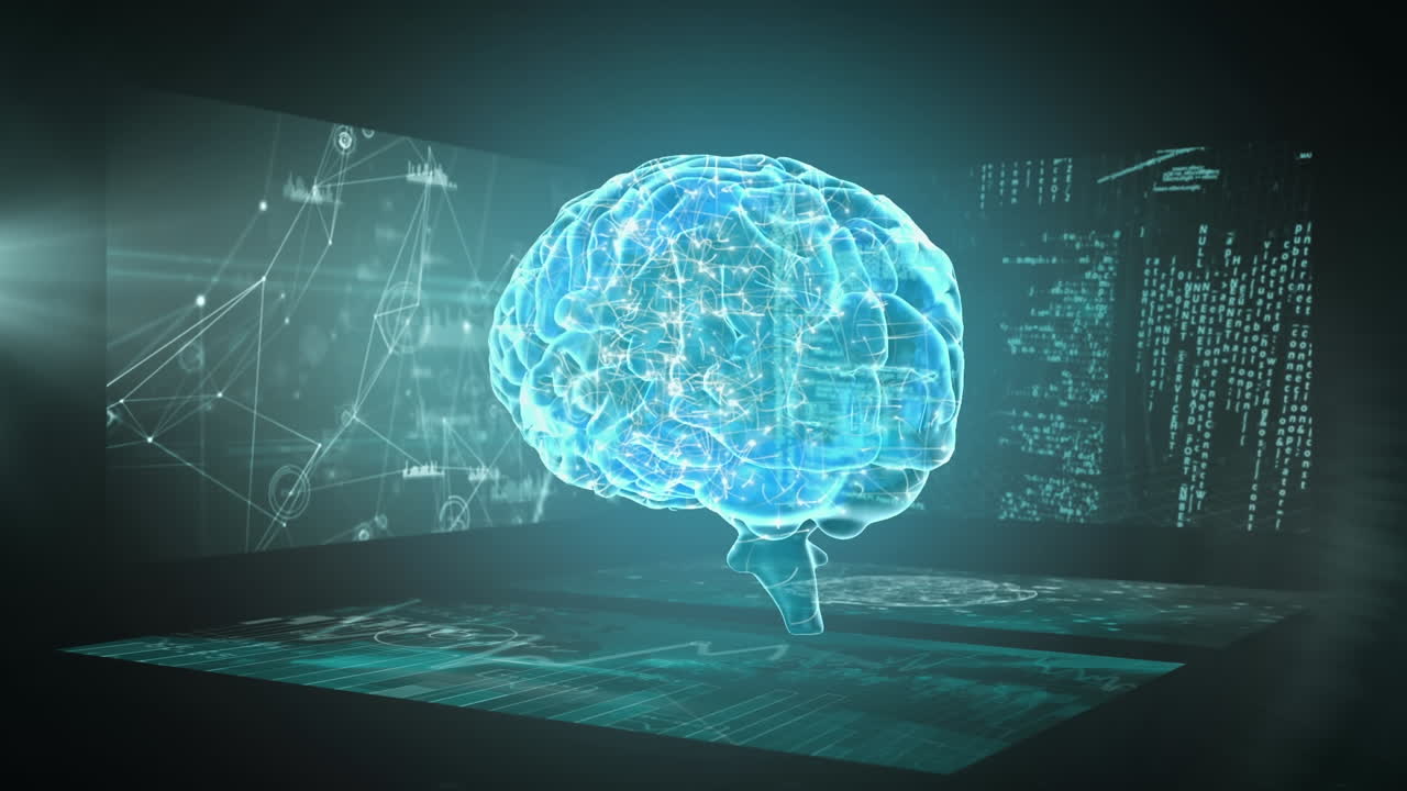 인간 뇌의 애니메이션과 데이터 처리