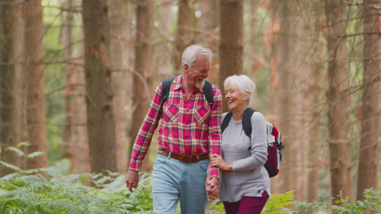 una amable pareja de ancianos jubilados tomados de la mano caminando juntos por el campo del bosque