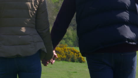 mature couple taking golden retriever for walk shot on r3d