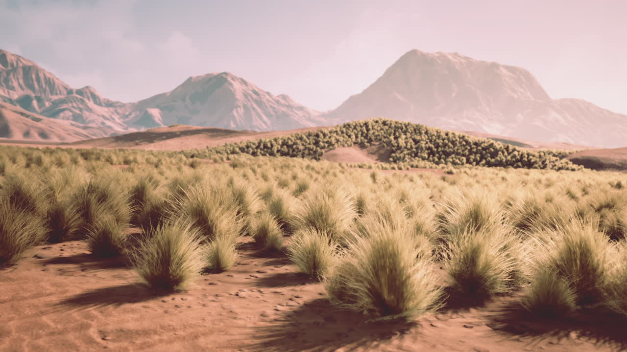 풀이 있는 산악 풍경