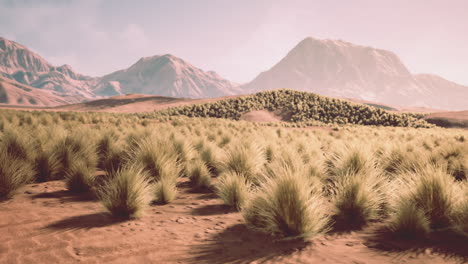 paisaje de montaña con hierba