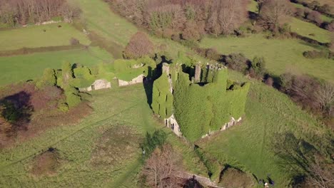 Aerial-orbiting-shot-of-beautiful-ivy-covered-Menlo-Castle-on-a-sunny-day-in-Galway