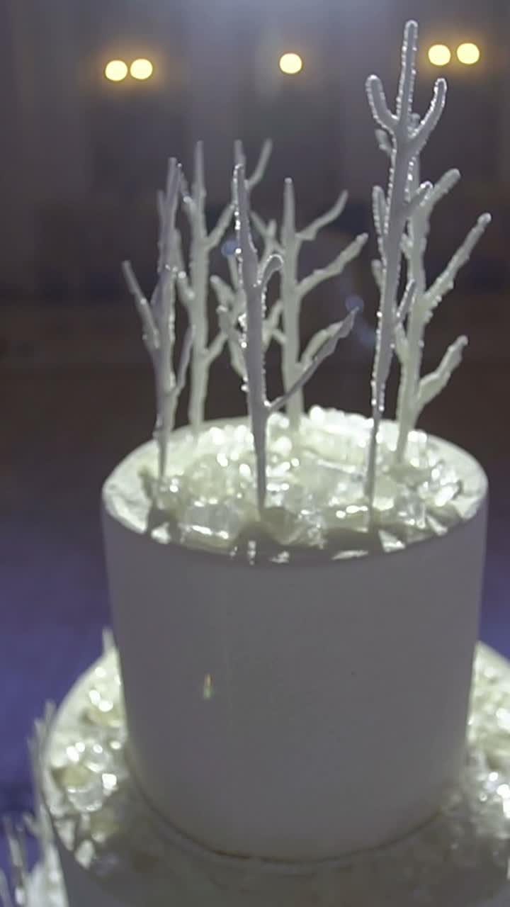 Elegant White Winter-Themed Wedding Cake