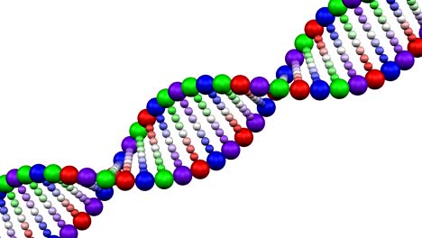 creation of a dna molecule on white background.