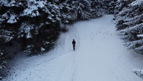 Ich-Folge-Einem-Mann,-Der-Auf-Einen-Verschneiten-Wald-Zugeht