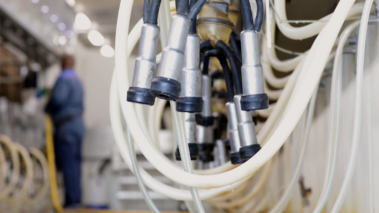 equipo de máquina de ordeño listo para ordeñar con ordeñadores borrosos en el fondo