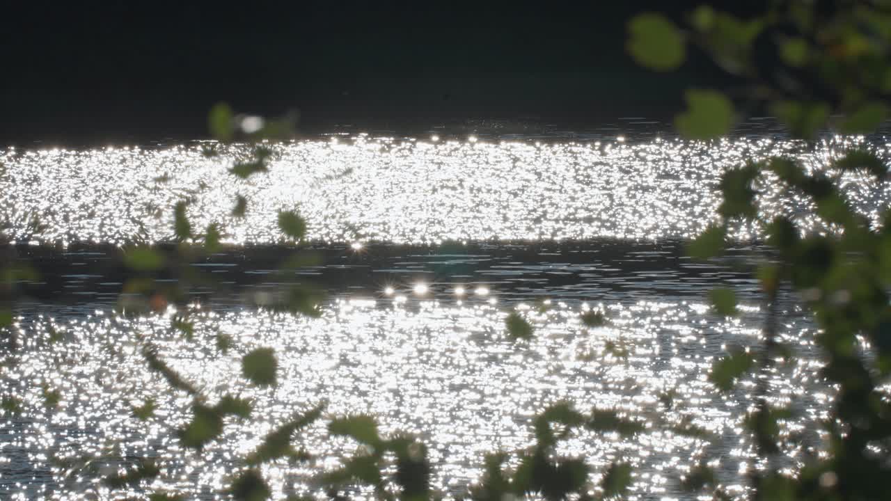 Bright sun flares reflected on the water's surface