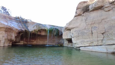 a waterfall in the middle of the sahara desert algeria biskra