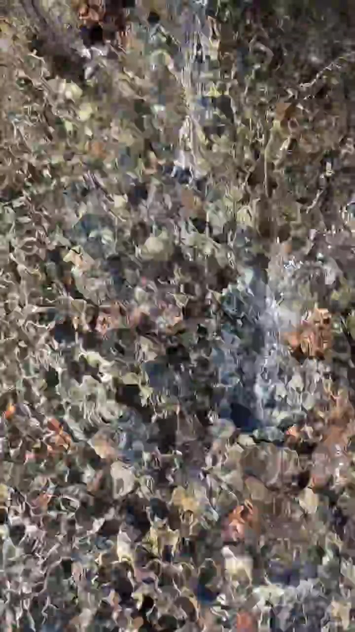 Clear Water Flowing Over Colorful River Stones