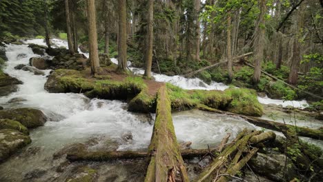 Río-De-Montaña-En-El-Bosque-En-Cámara-Lenta.-Hermoso-Paisaje-De-Vida-Silvestre.