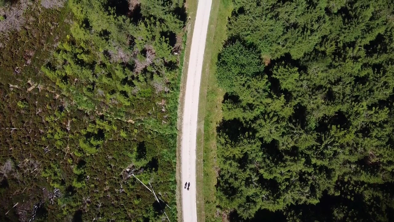 Vista aerea di due persone che fanno escursioni su un sentiero in un'area boschiva nel Baden-Württemberg, Germania