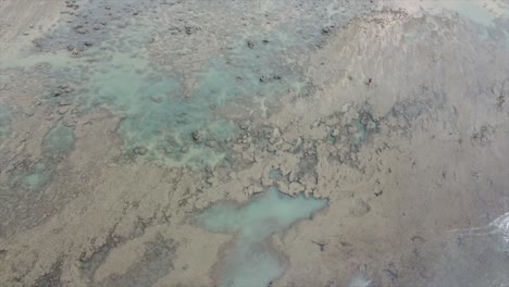 toma aérea de drones de la playa de pipa brasil