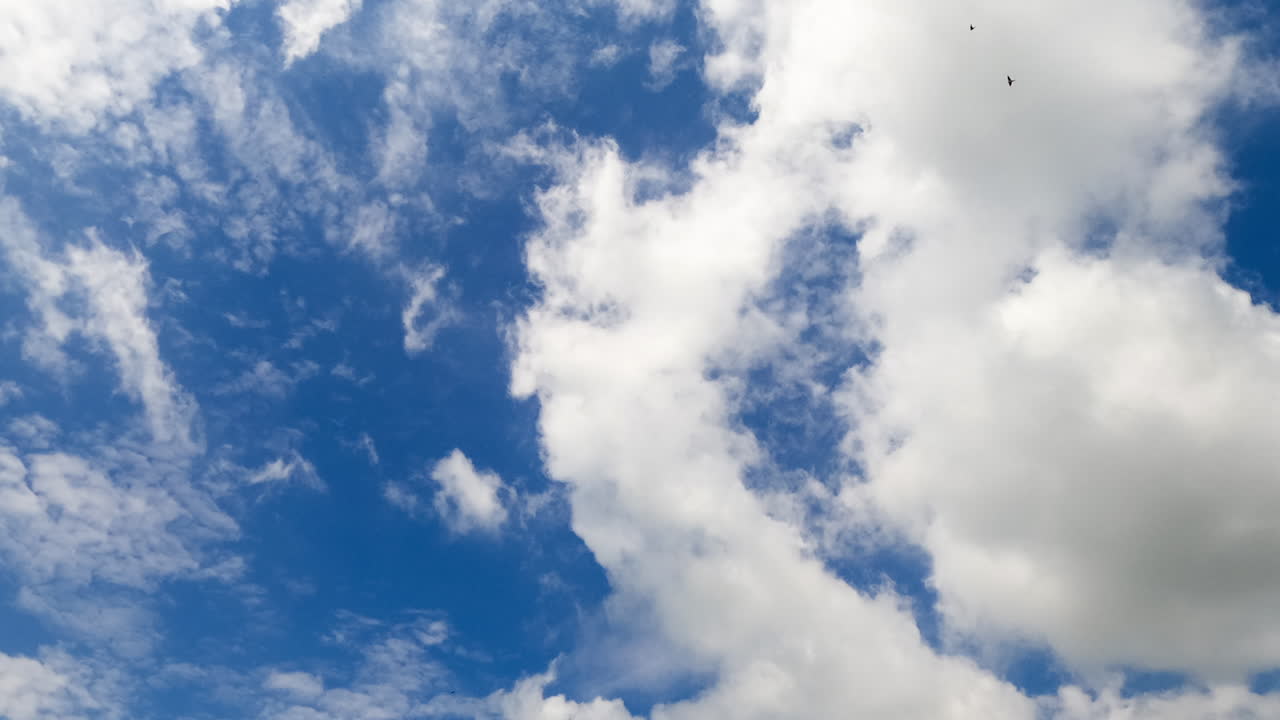 Stratocumulus clouds are moved by the wind in the atmosphere. Cumulus clouds come on their place. Low angle view. Timelapse.