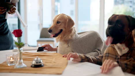 dogs at a restaurant