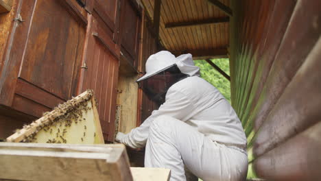 beekeeper taking out the honey frame from a wooden beehive, low angle shot