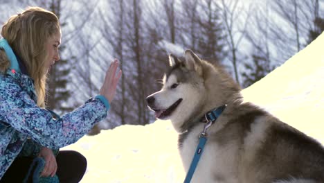 cute fluffy dog gives high five to attractive young female owner, slow motion