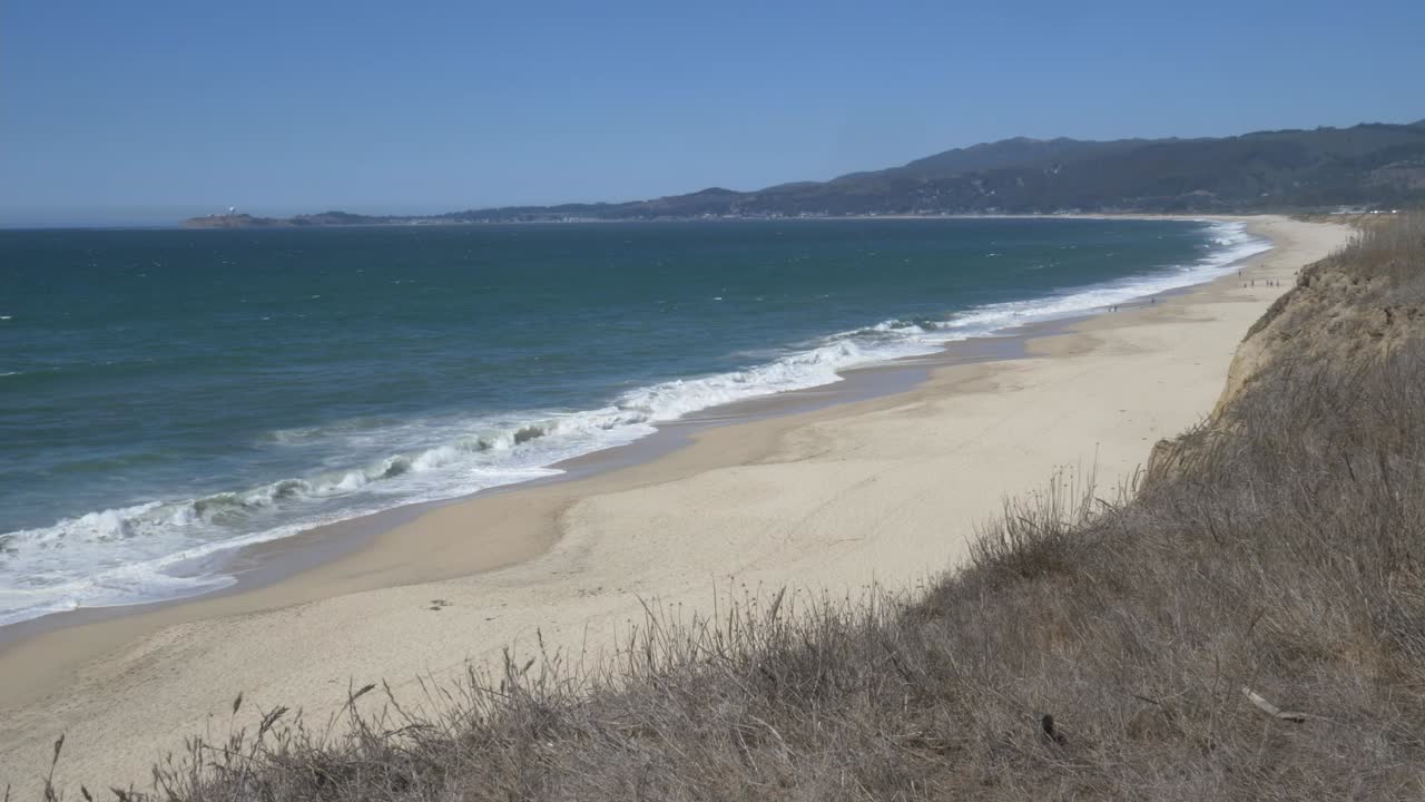 Waves crashing on the sand with wind blowing plants in the foreground