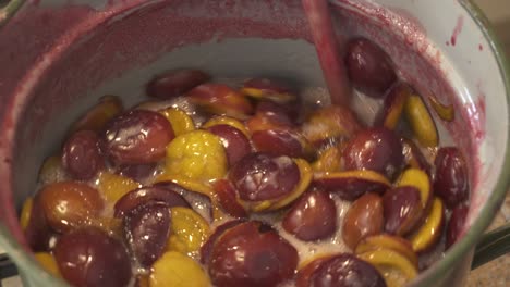 Making-Plum-Jam