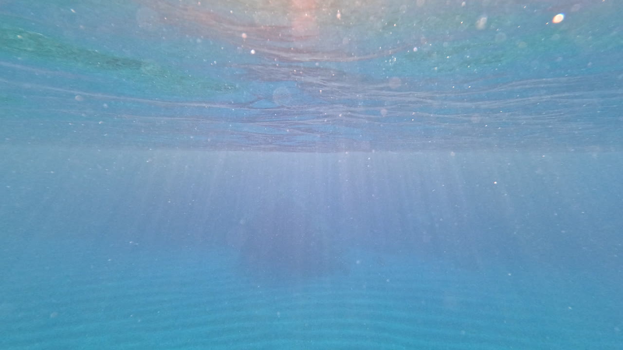 투명한 파란 바다