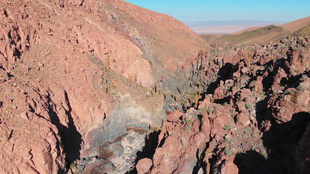 남아메리카 칠레 북부 아타카마 사막의 산 페드로 데 아타카마 근처에 있는 인기 있는 거대한 선인장 협곡 근처의 공중 전망