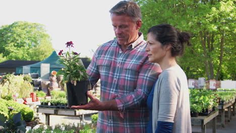 Pareja-Madura-Comprando-Plantas-De-Asistente-De-Ventas-Masculino-En-El-Centro-De-Jardinería.