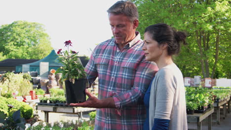 mature couple buying plants from male sales assistant in garden center