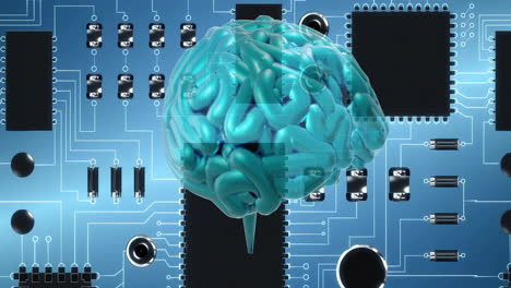 animation of human brain and computer server with data processing