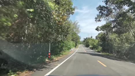 driving along a scenic country road in thailand surrounded by tall green trees