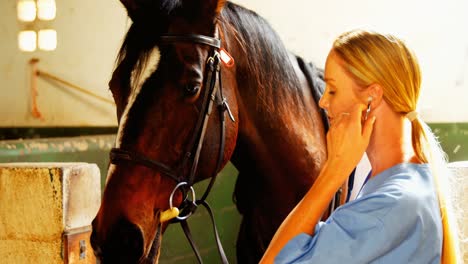veterinarian doctor stroking horse 4k