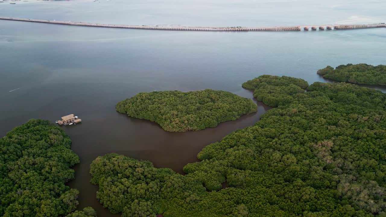 Aerial View of Mangrove Islands and Bridge