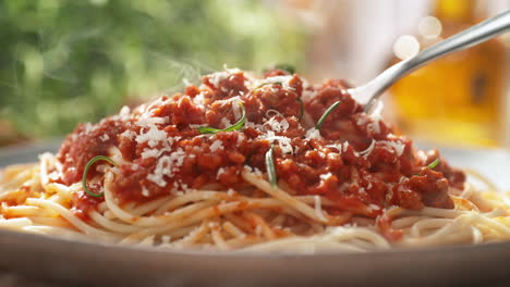 spaghetti bolognese winding onto a fork - from a view of the entire dish on the plate to a close-up of the strands of pasta on the utensil