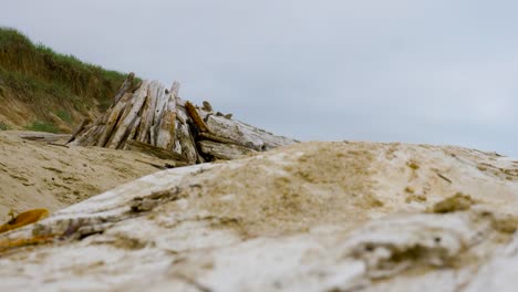 sandy beach on a cloudy windy day