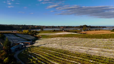 Vista-Aérea-De-Una-Pequeña-Bodega-Familiar-Y-Un-Viñedo-En-La-Región-De-Nelson-Y-Tasmania,-Nueva-Zelanda,-Durante-El-Día.