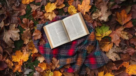 open book lying on a plaid blanket on a bed of autumn leaves