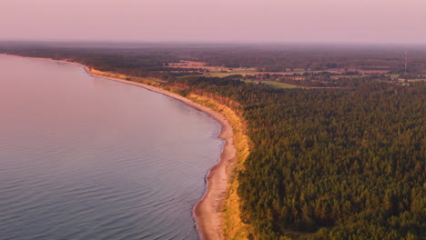 aerial view of sunlit coastal cliffs and pine forests in jurkalne, latvia.