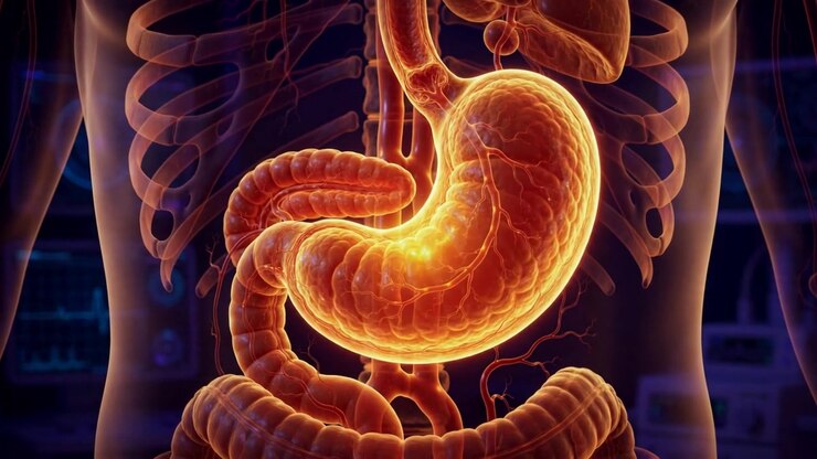 Glowing Medical Visualization Of The Human Stomach In Soft Amber Light Against A Dark Clinical Background