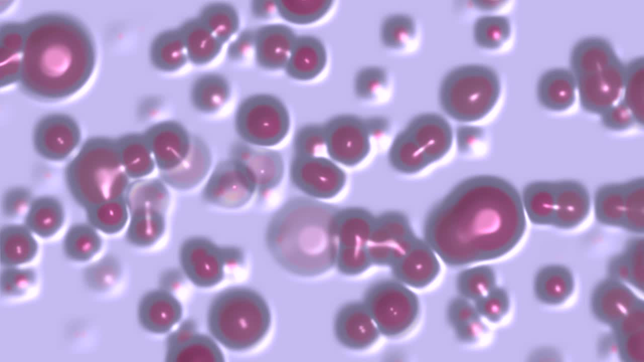 떠다니는 원형 11