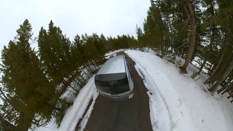 360-First-person-game-play-Driving-on-a-long-Pine-covered-or-wooded-road-possibly-through-Yellowstone-National-Park