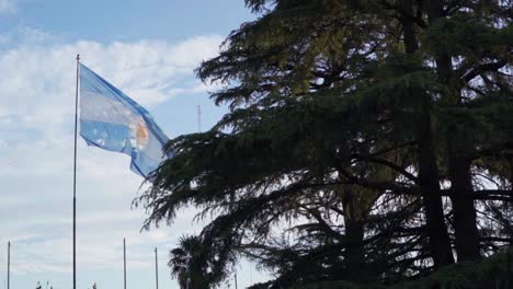 slow motion view of an argentinian flag waving among trees at dusk