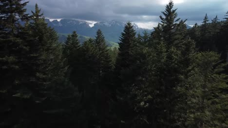 Aerial-drone-shot-over-the-mountains-in-europe-switzerland-summer-green-grass-lush-rolling-hills-and-farmland,-cinematic-drone-footage