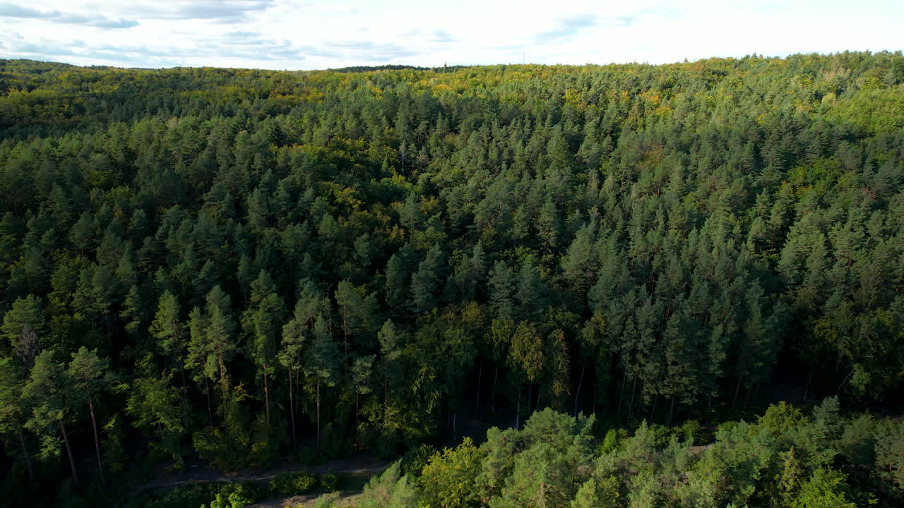 Foresta verde lussureggiante Witomino, Grynia Polonia - ripresa aerea con carrello a sinistra
