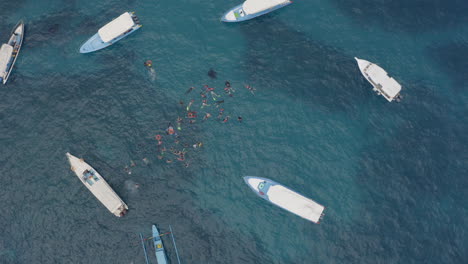 group of tourists snorkeling in blue water at the coral shoals, surrounded by tourist boats, nusa penida, bali, indonesia. aerial shot
