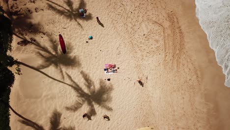vista aérea de una pareja feliz en su luna de miel en una playa tropical en hawaii